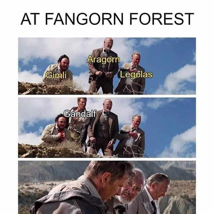 funniest-lord-of-the-rings-memes-42
