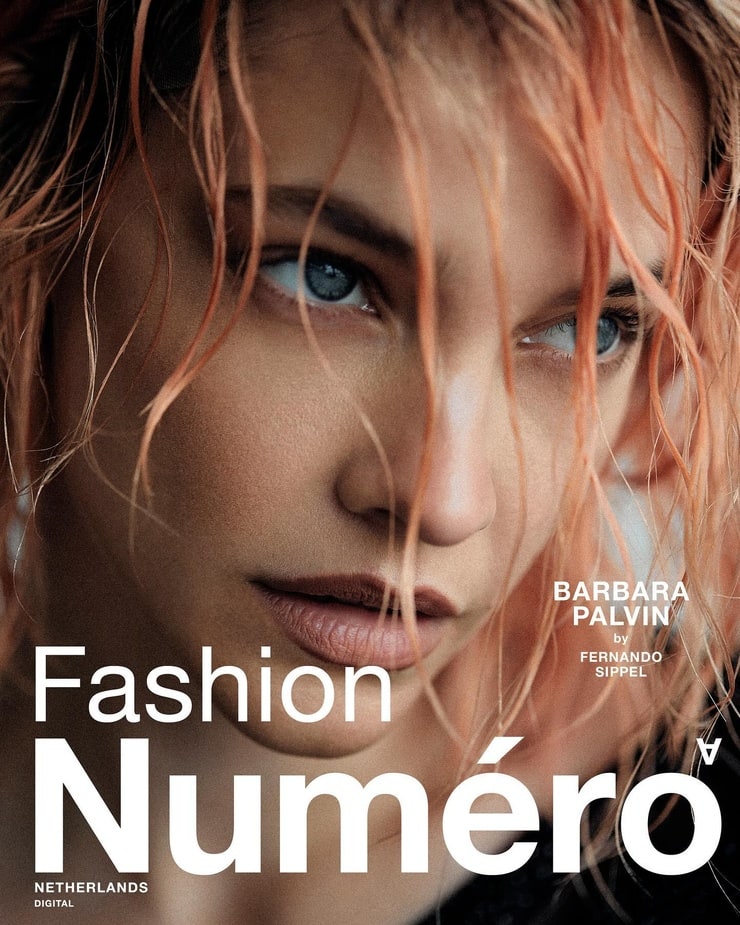 barbp numero ned 4 - Copy