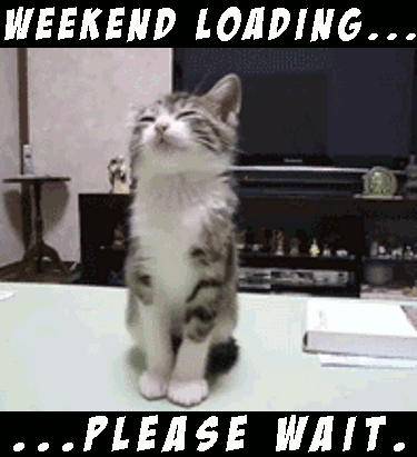 f47950f3d3 cat weekend 2