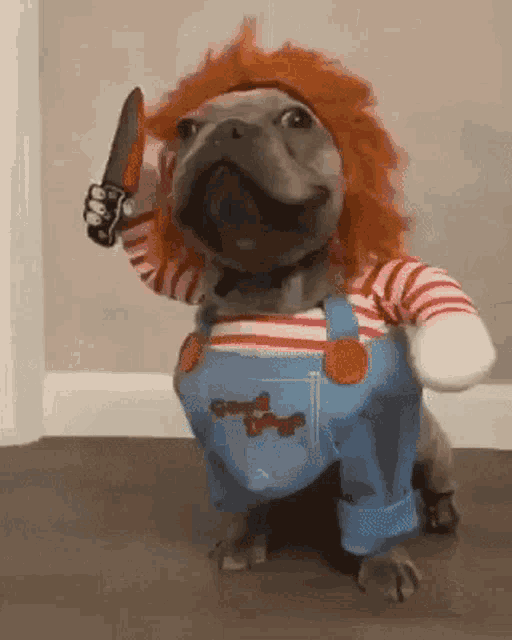 dog-chuky
