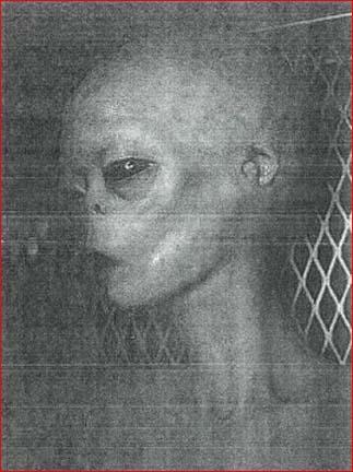alien 1