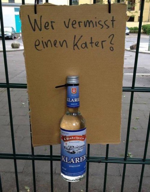 wer sucht einen kater - Copy