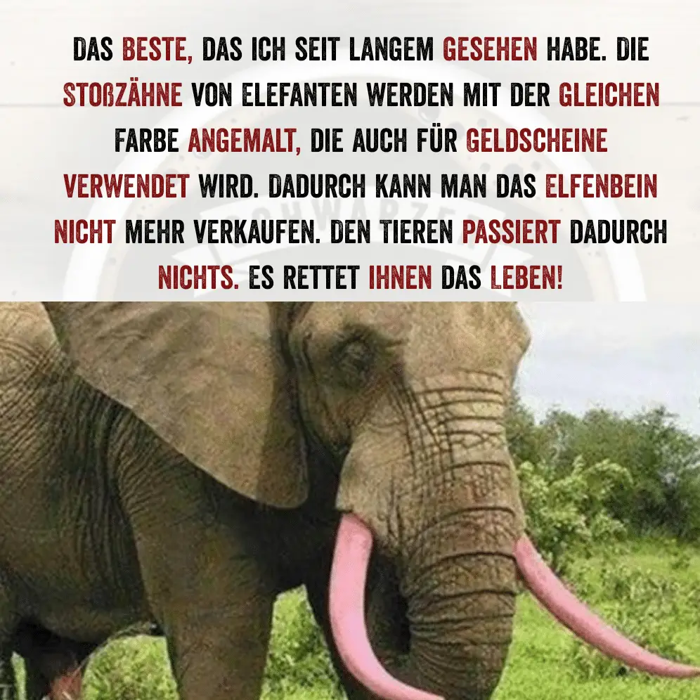 Quotes Creator com.ist .quotescreator 17.webp