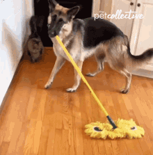 Hunde putz - Copy