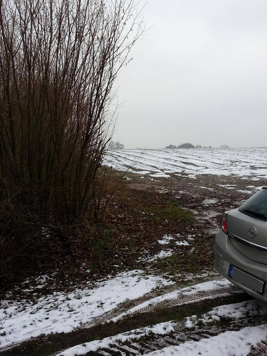 /dateien/121468,1456067906,Feld Einfahrt-Blickrichtung Golfclub-Osten