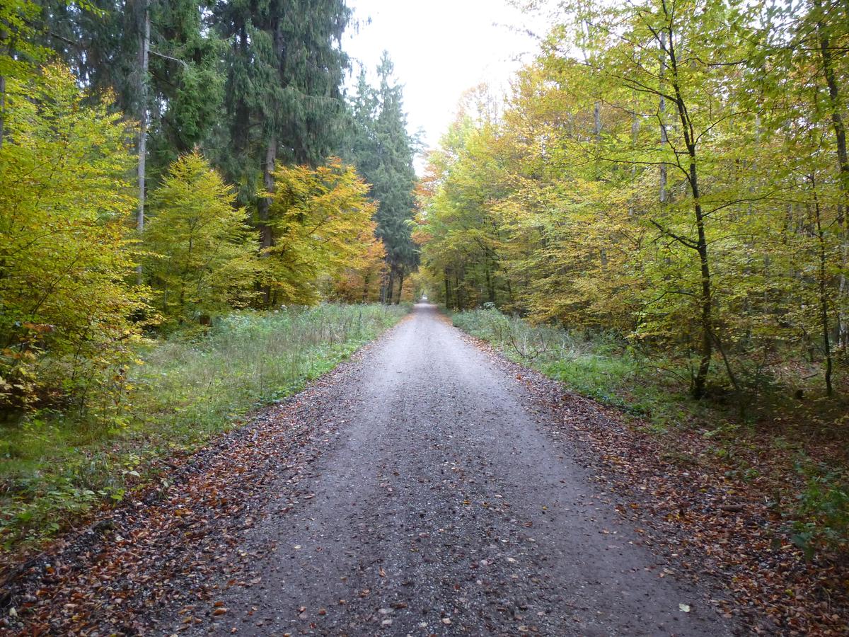 /dateien/40510,1383874390,P1040570