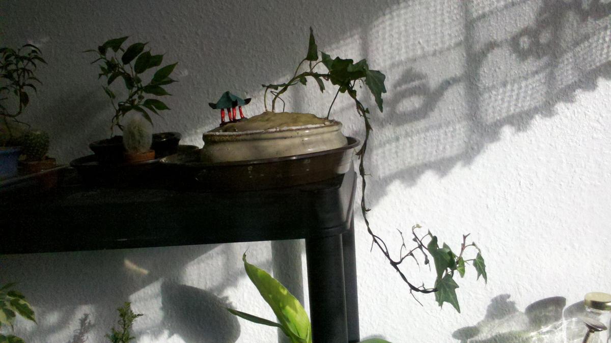 /dateien/64052,1336166187,2012-04-20 18-17-59 478