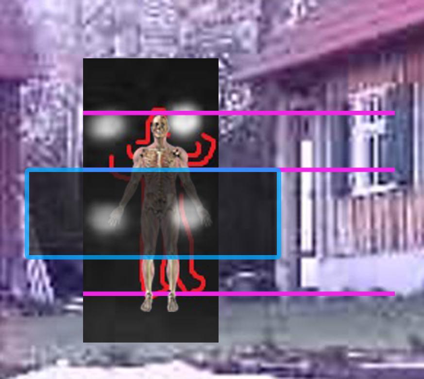 /dateien/87369,1335724161,Anatomie