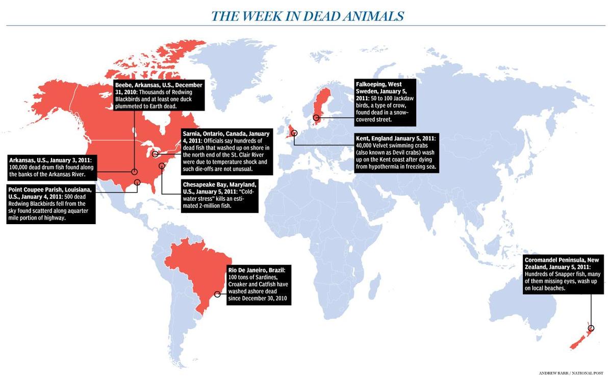 /dateien/gg69348,1294291070,web0105-dead-animals11