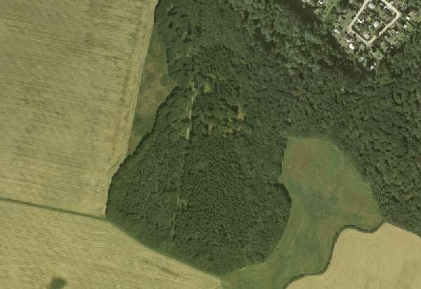 /dateien/mt2739,1212015524,Hammelwald