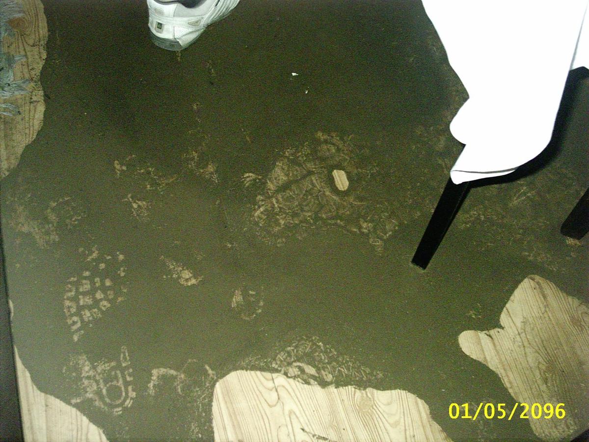 /dateien/mt27786,1152549707,PIC 0201
