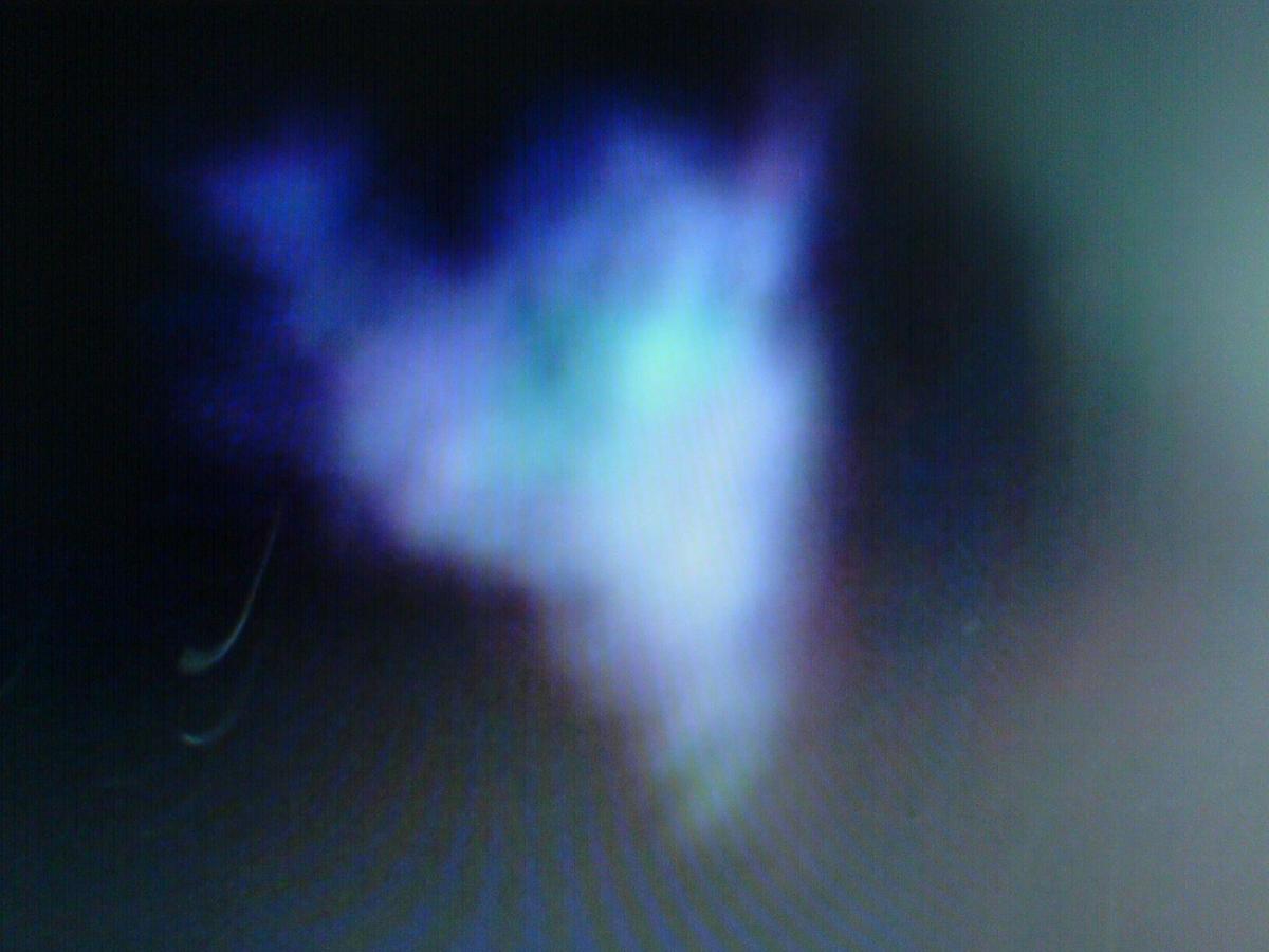 /dateien/mt46874,1264641403,DSC00184