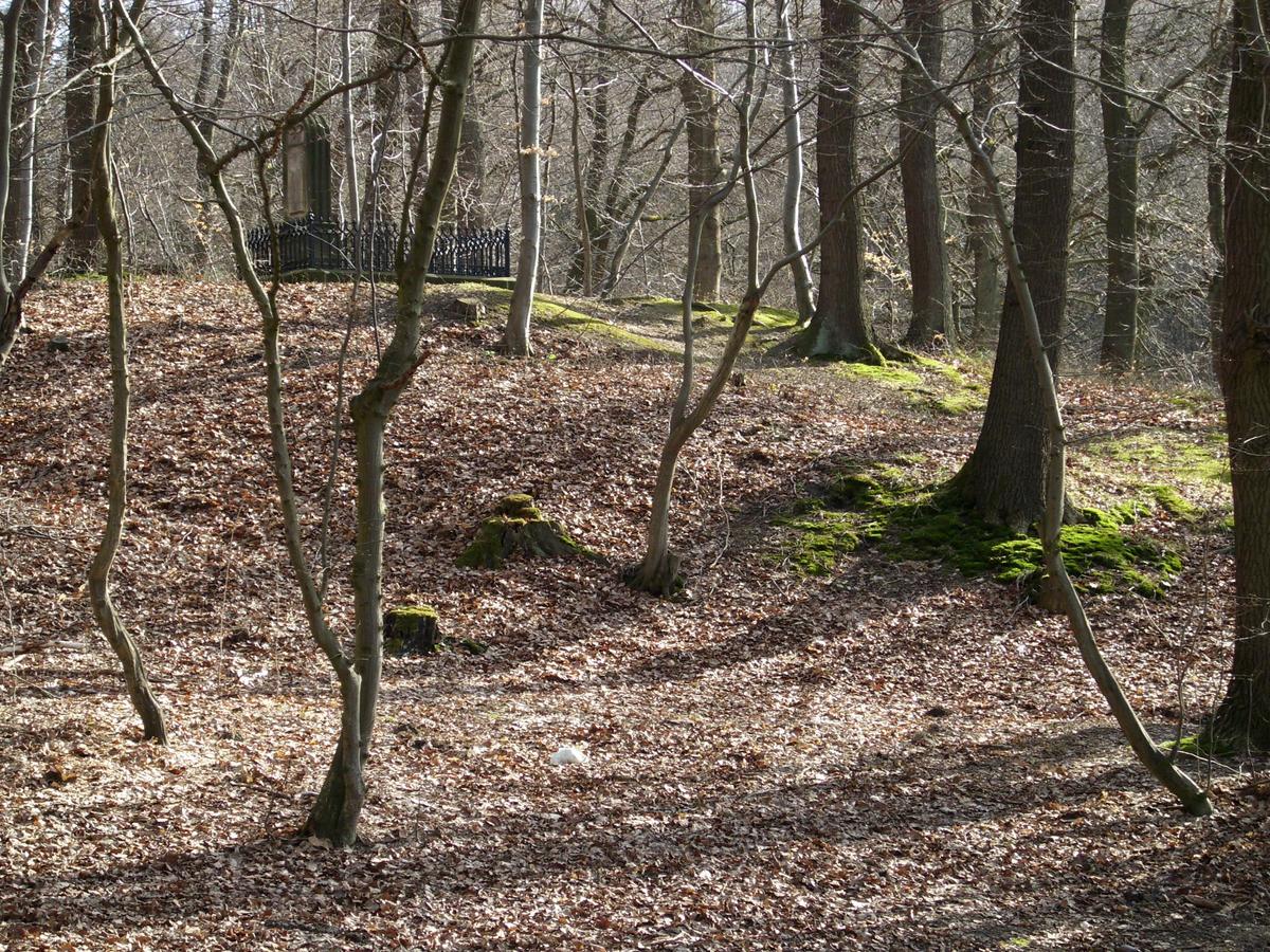 /dateien/mt47044,1281546786,DSCI0013