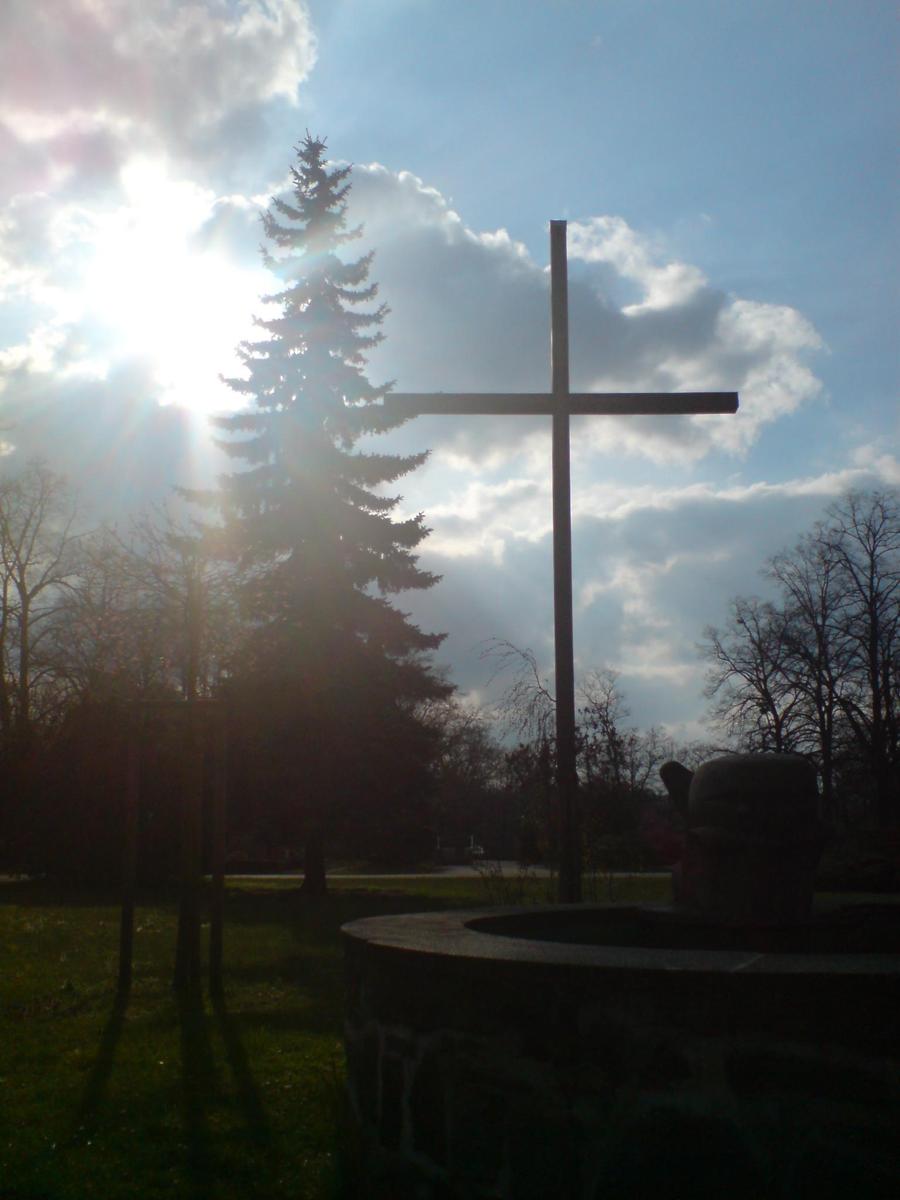 /dateien/mt5087,1208541168,DSC00272