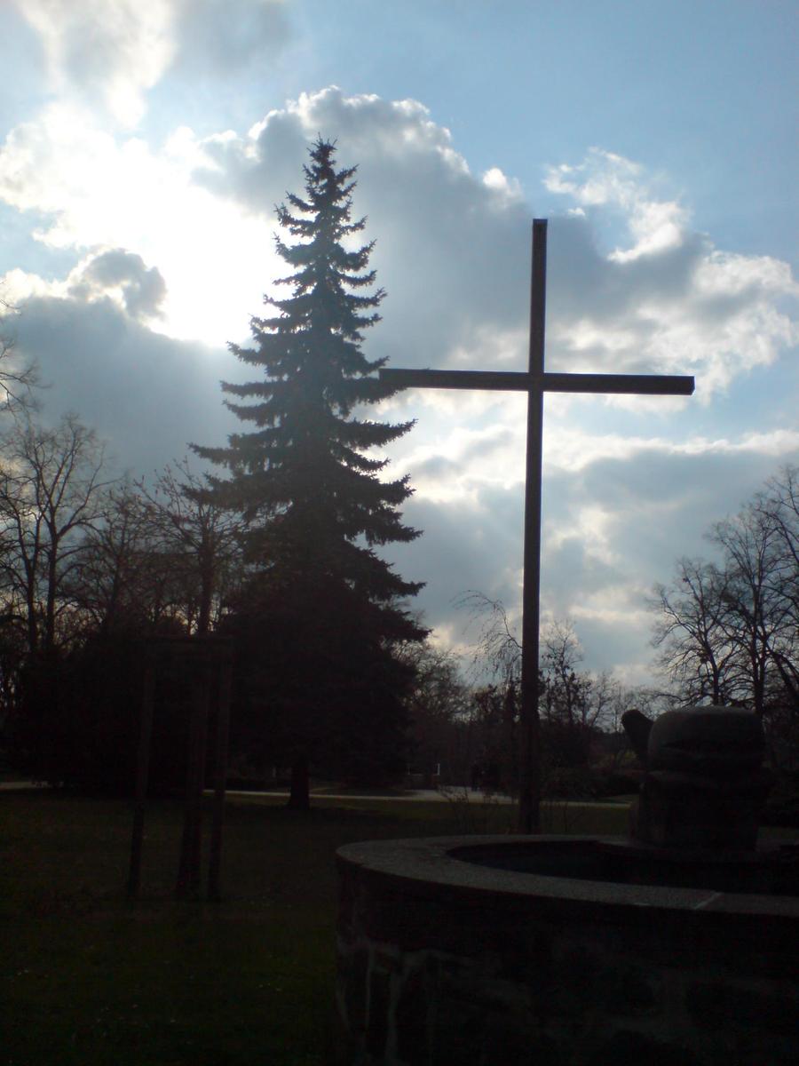 /dateien/mt5087,1208544223,DSC00275