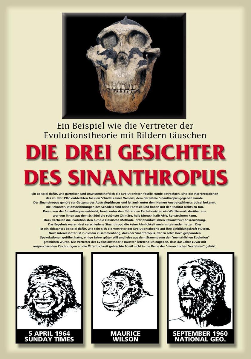/dateien/rs3448,1244019907,16sinant