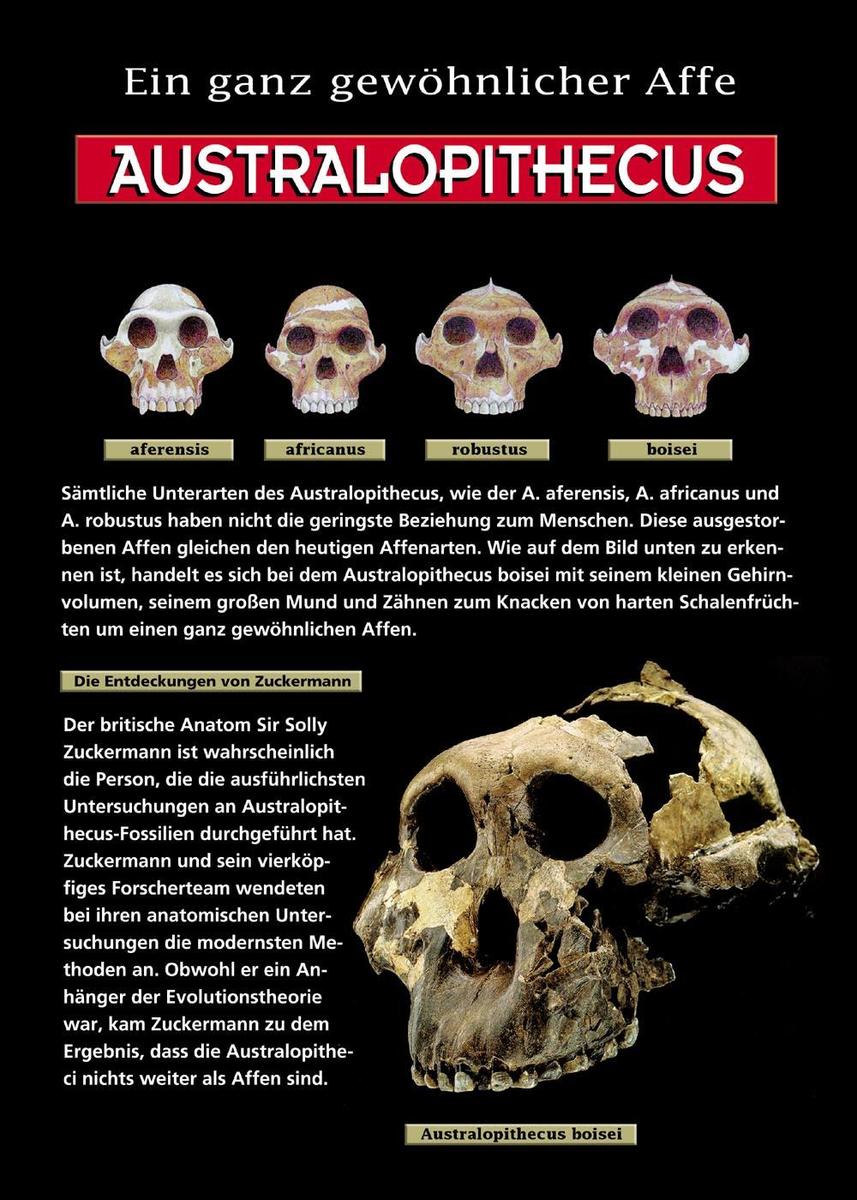 /dateien/rs3448,1244019907,18austra