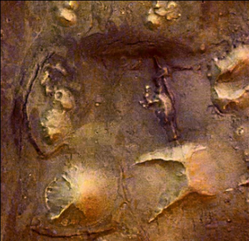 /dateien/uf29784,1183166600,Cydonia