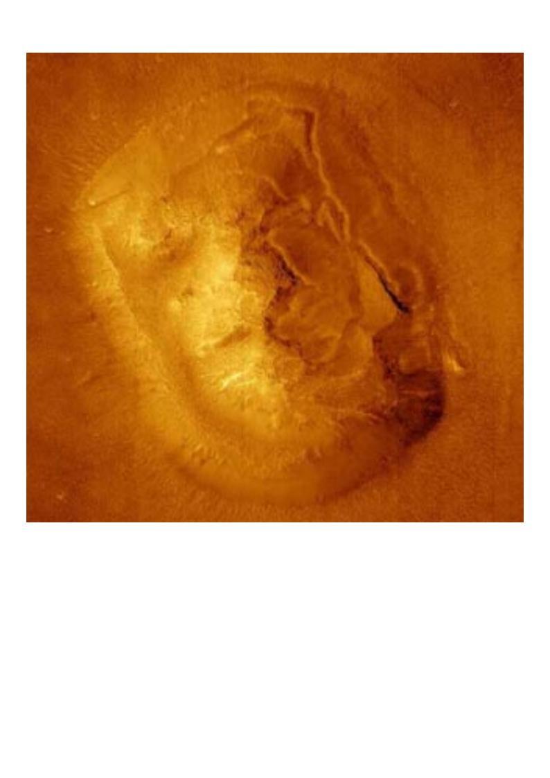 /dateien/uf29784,1200864927,marsface