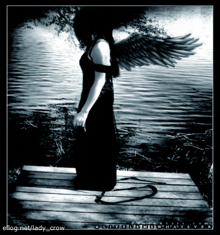 /dateien/uh28902,1155398729,img144875 lady crow