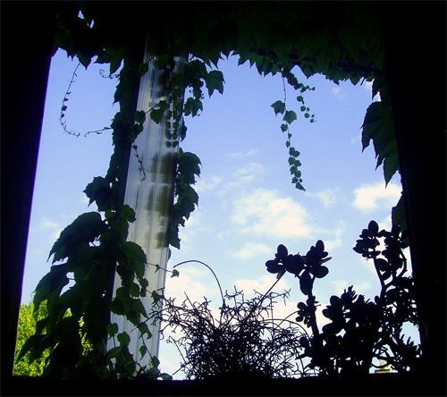 /dateien/uh28902,1158782286,fensterchen