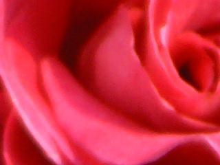 /dateien/uh28902,1158860403,HPIM0606