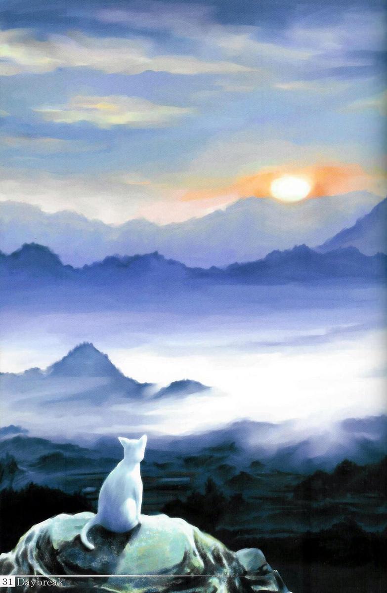 /dateien/uh28902,1165247758,white cat