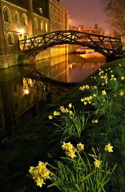 /dateien/uh28902,1172744507,27515923 MathematicalBridge