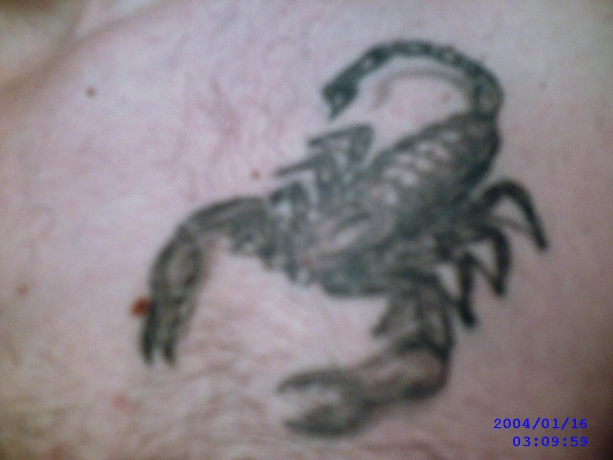 /dateien/uh47258,1224834055,SUNP0011