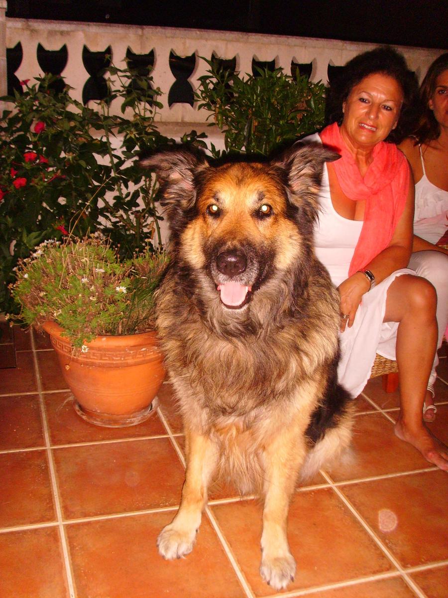 /dateien/uh51630,1286740817,SSL20061