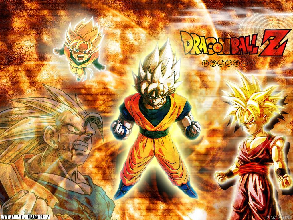 /dateien/uh54979,1294935347,1 29 197 dragonball-z
