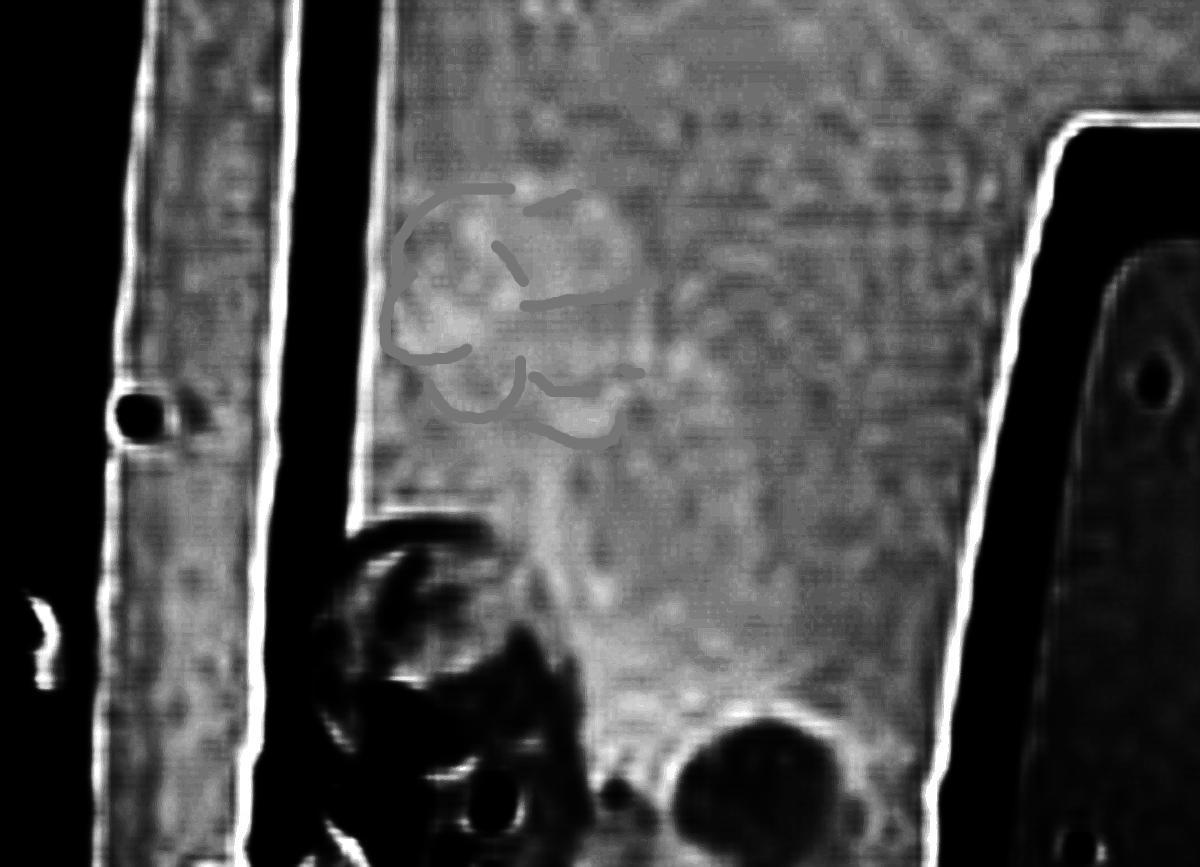 /dateien/uh55144,1258048093,coroner-transport5