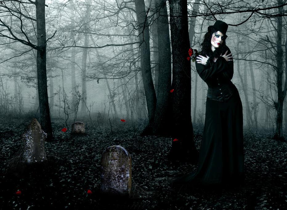 /dateien/uh60831,1283445070,The Black Widow by athlinia