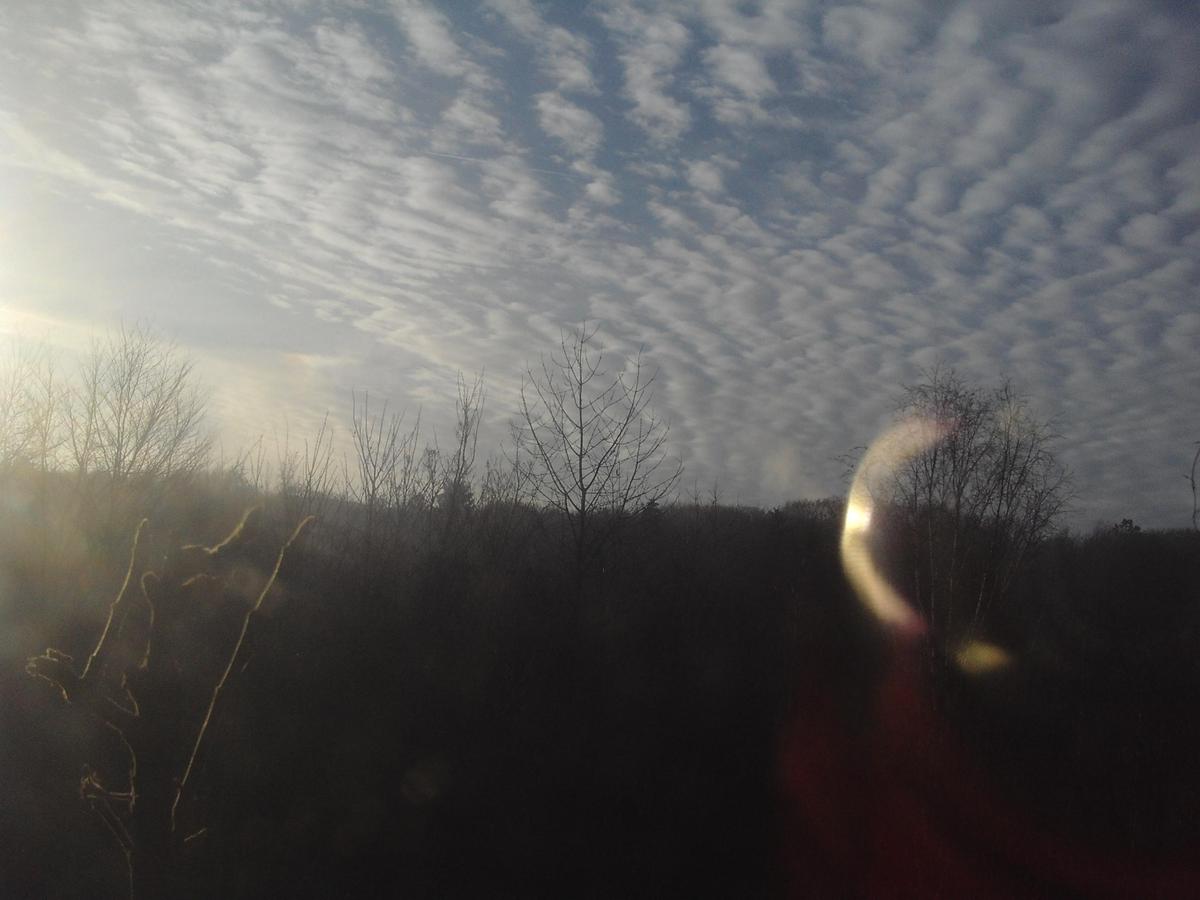 PHOT2279