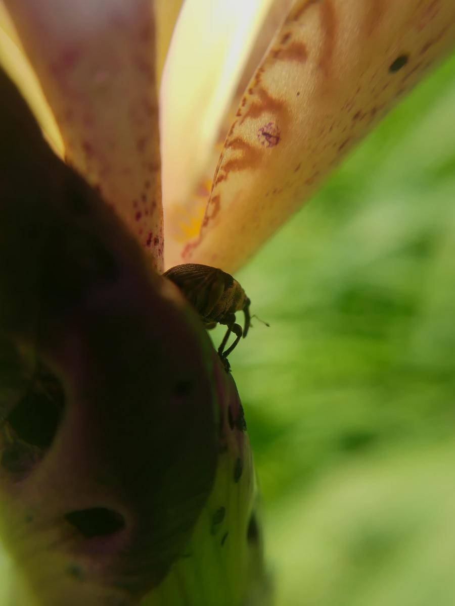 IMG 20190602 131301