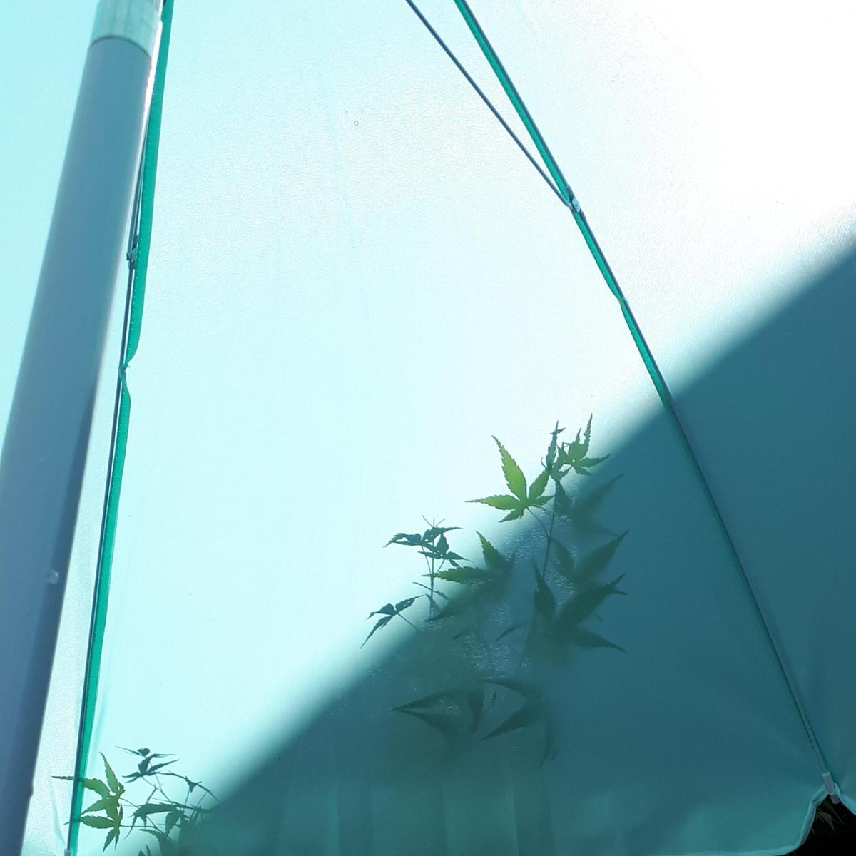 20190627 152852
