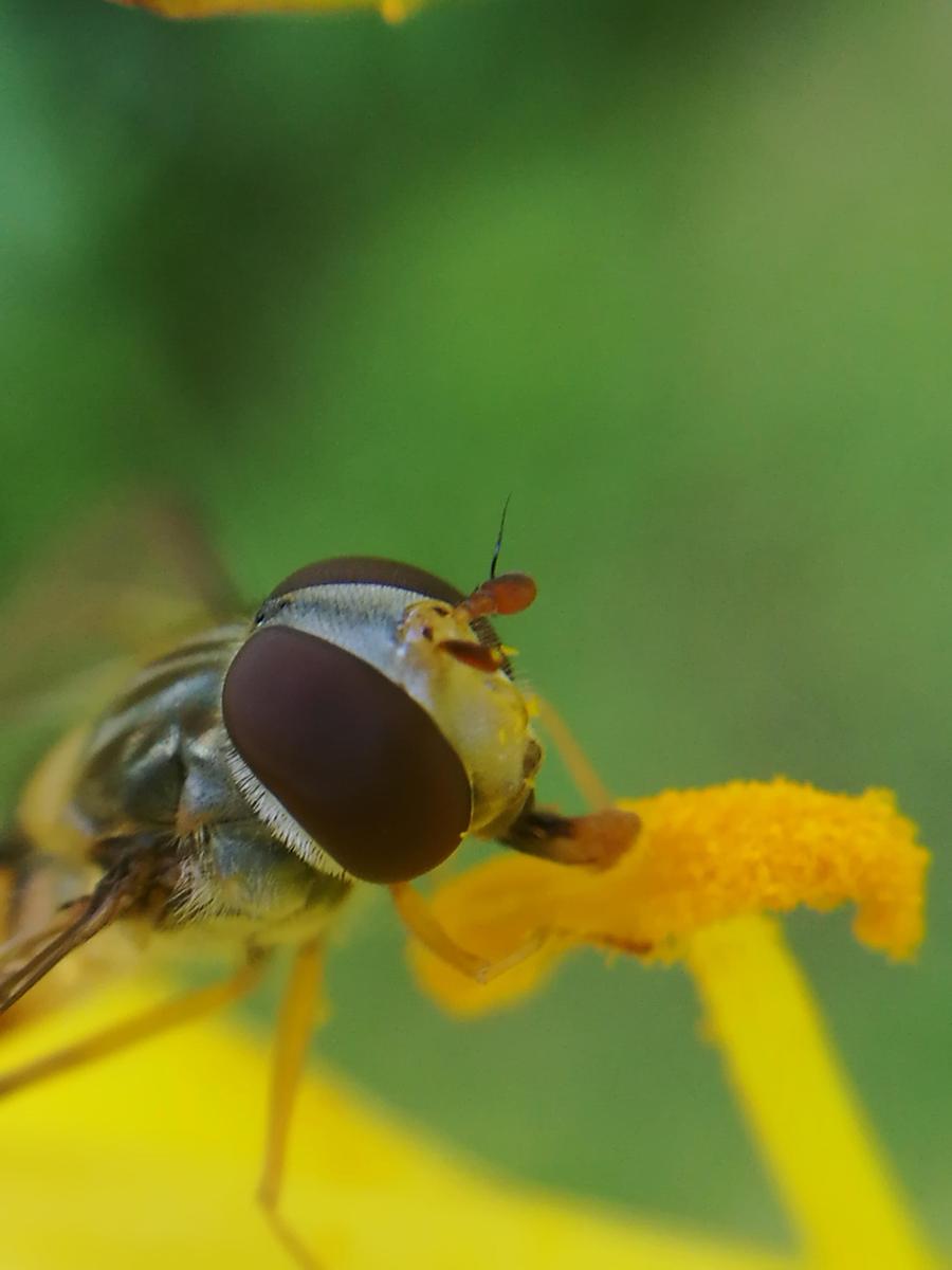 IMG 20180708 115530