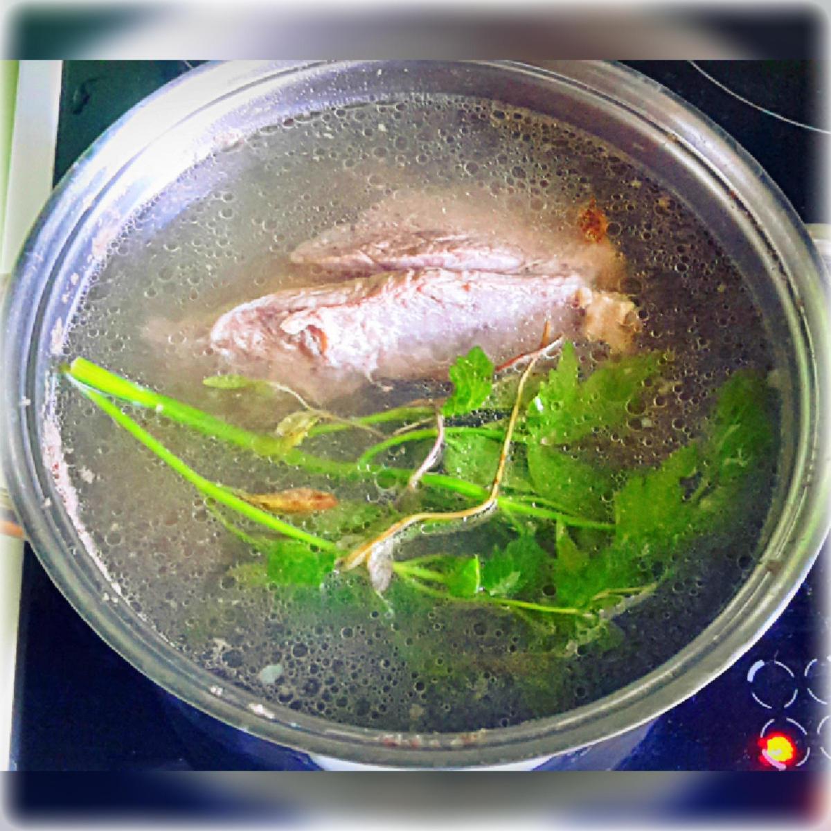 CYMERA 20180716 130349