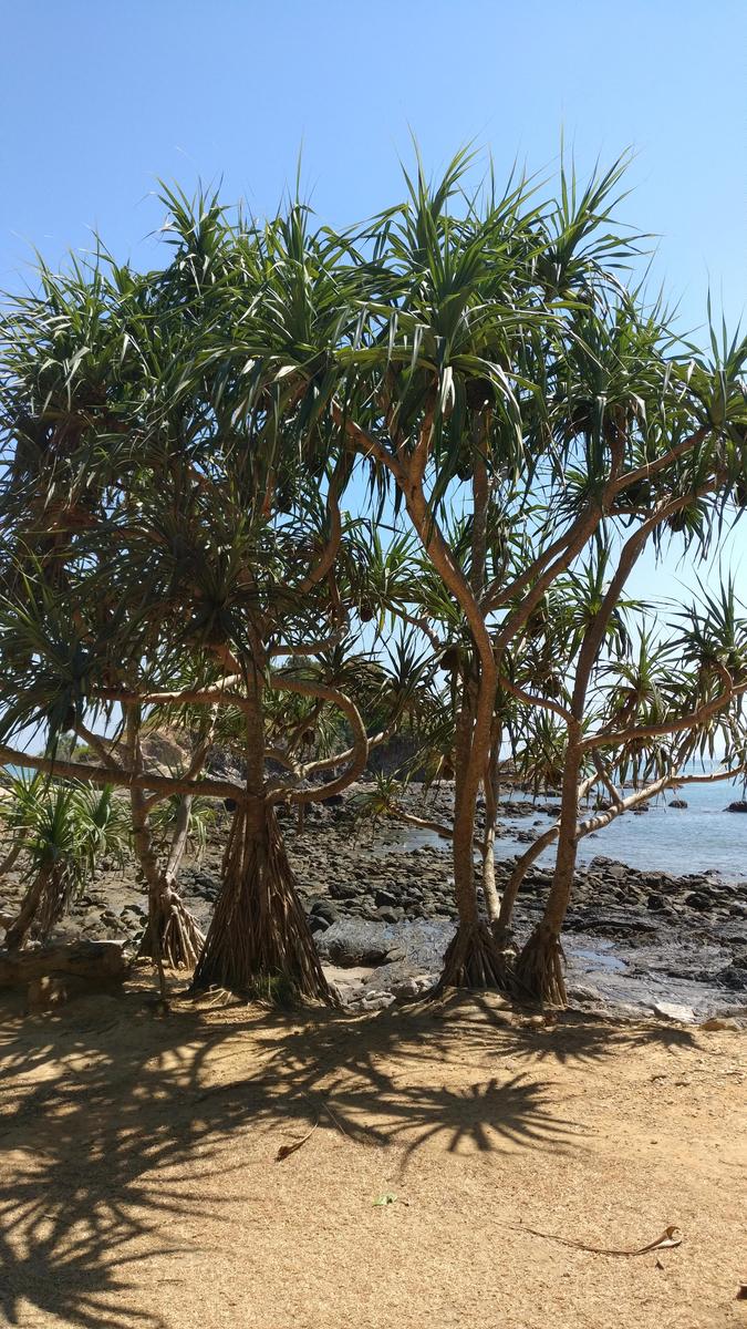 IMG 20190219 135626