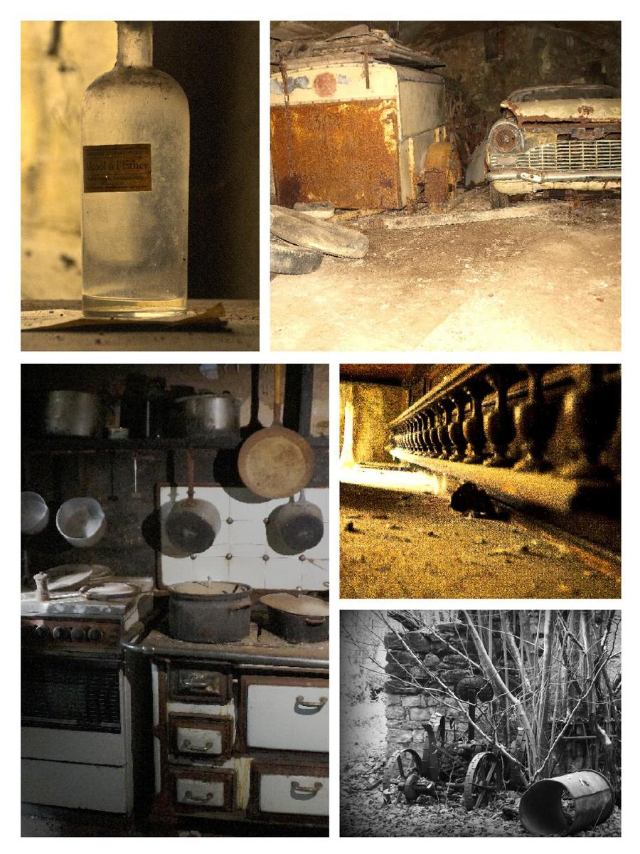collage-1509908531640