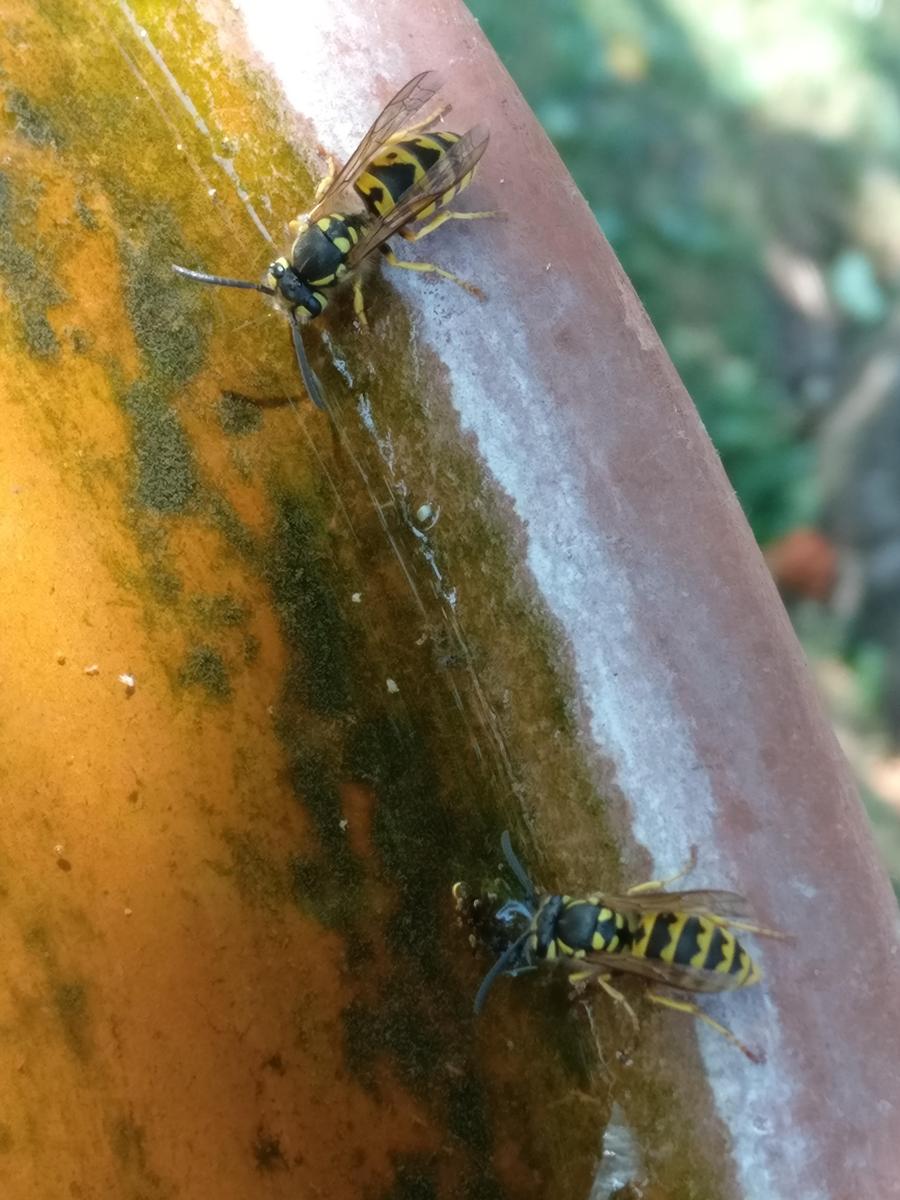 IMG 20180808 163148