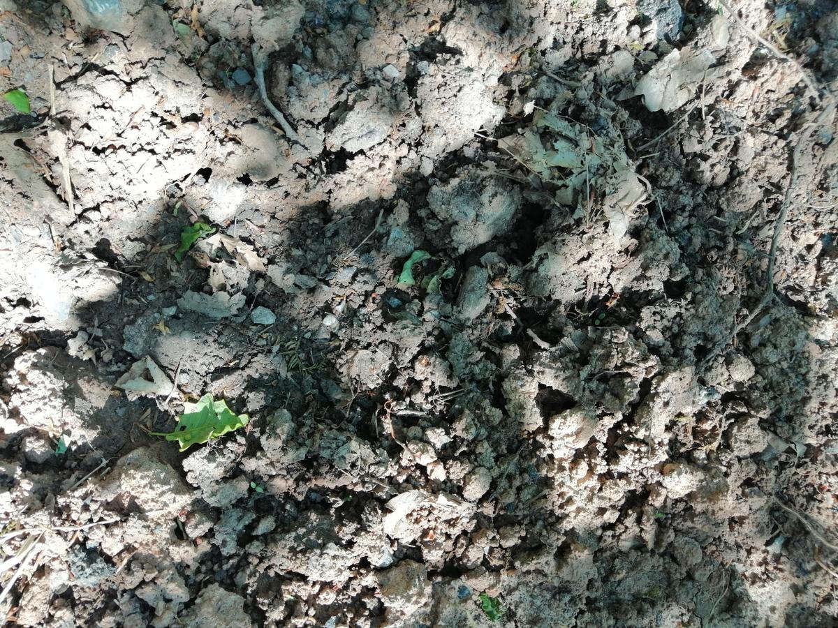 IMG 20190515 155936