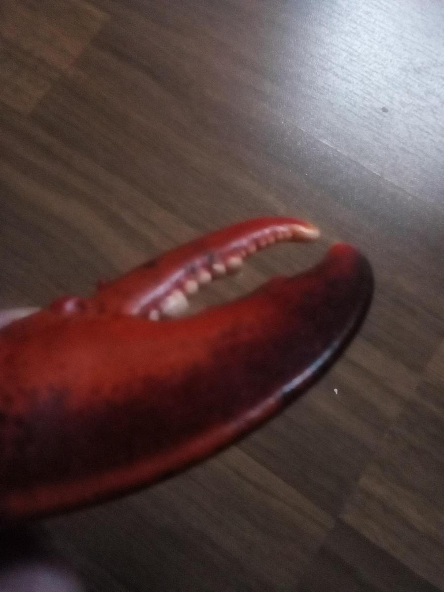 IMG 20191225 105719