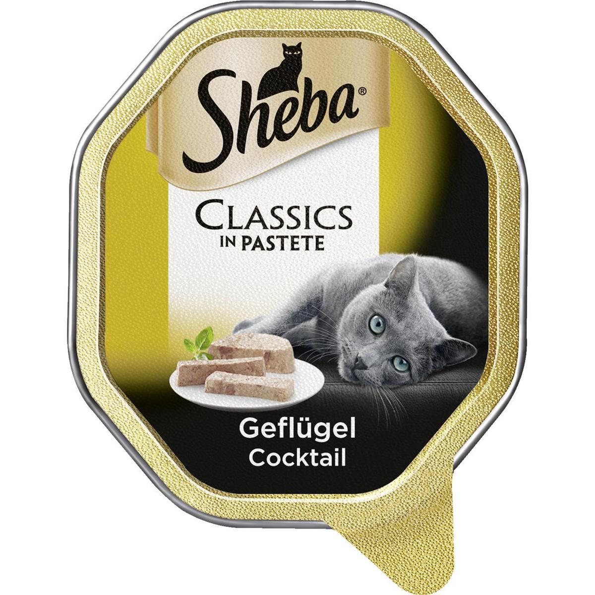 sheba