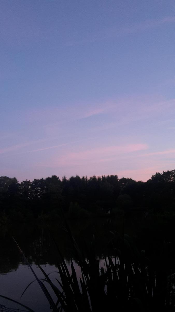 20190722 214529