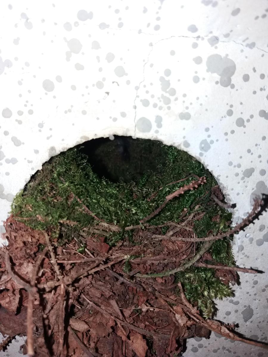 20190505 175557
