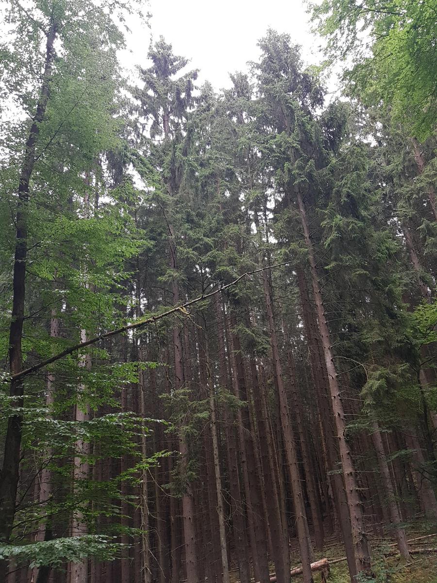 IMG 20180815 163459
