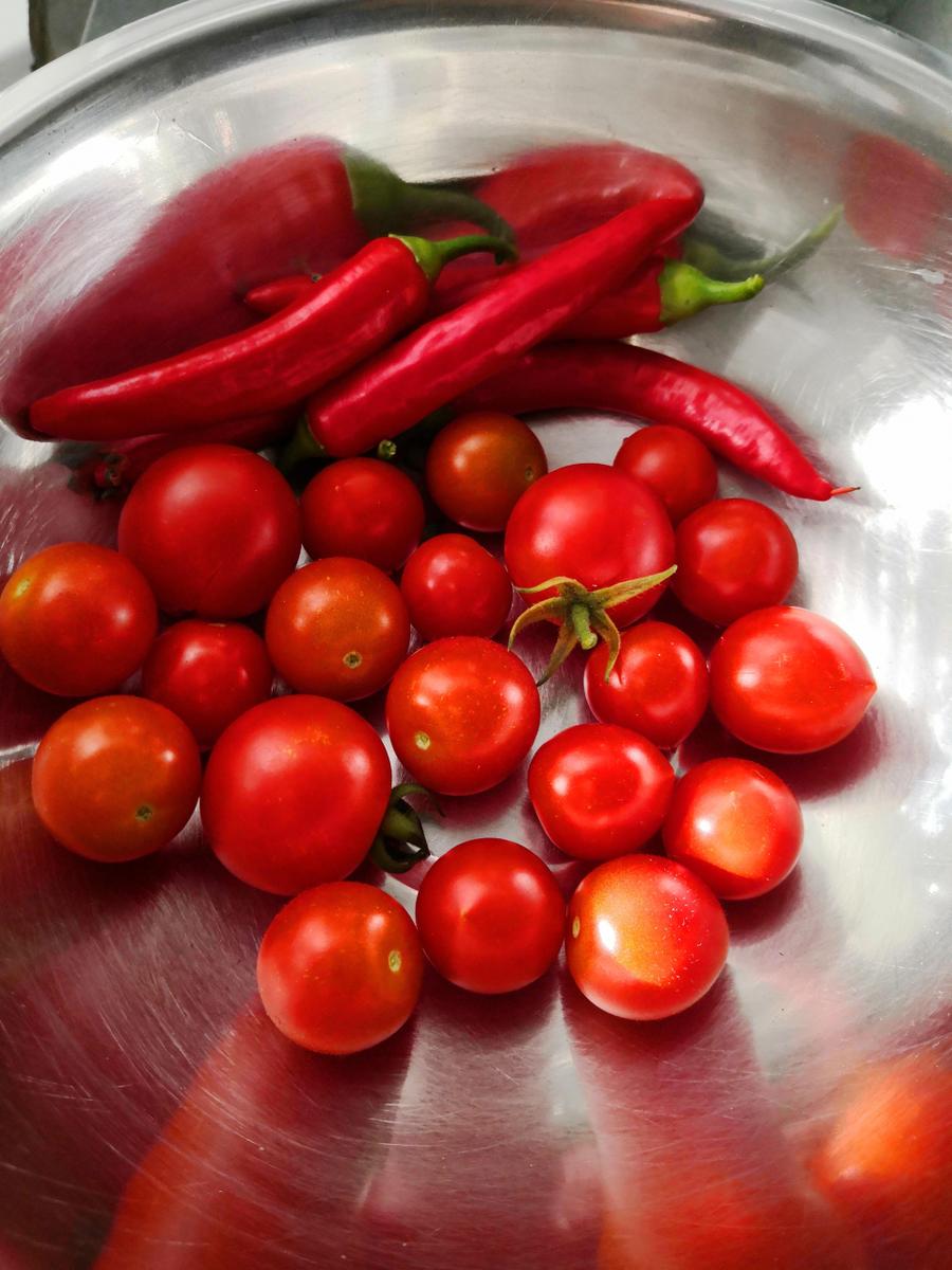 IMG 20190915 093407