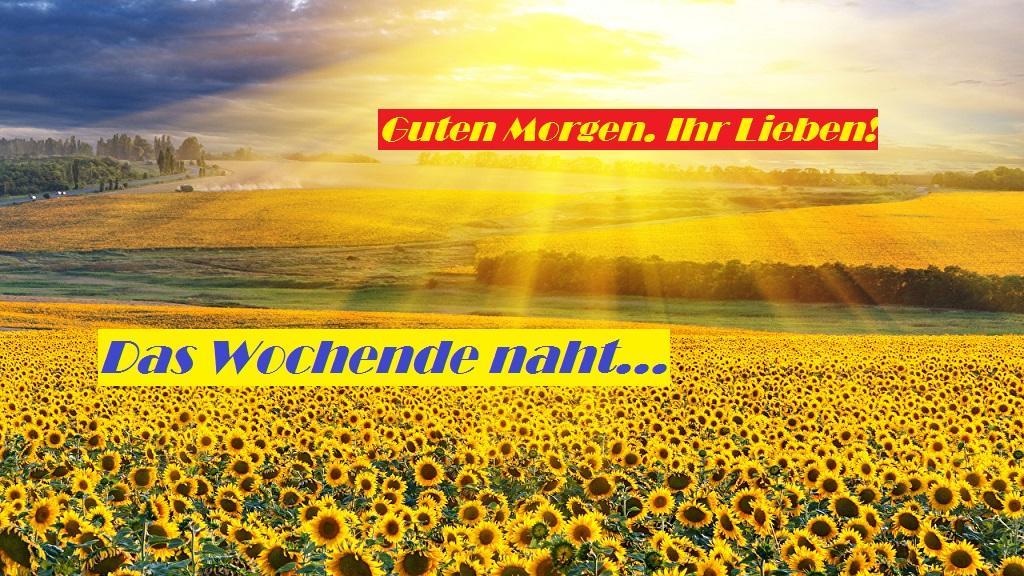 Sonnenaufgang4
