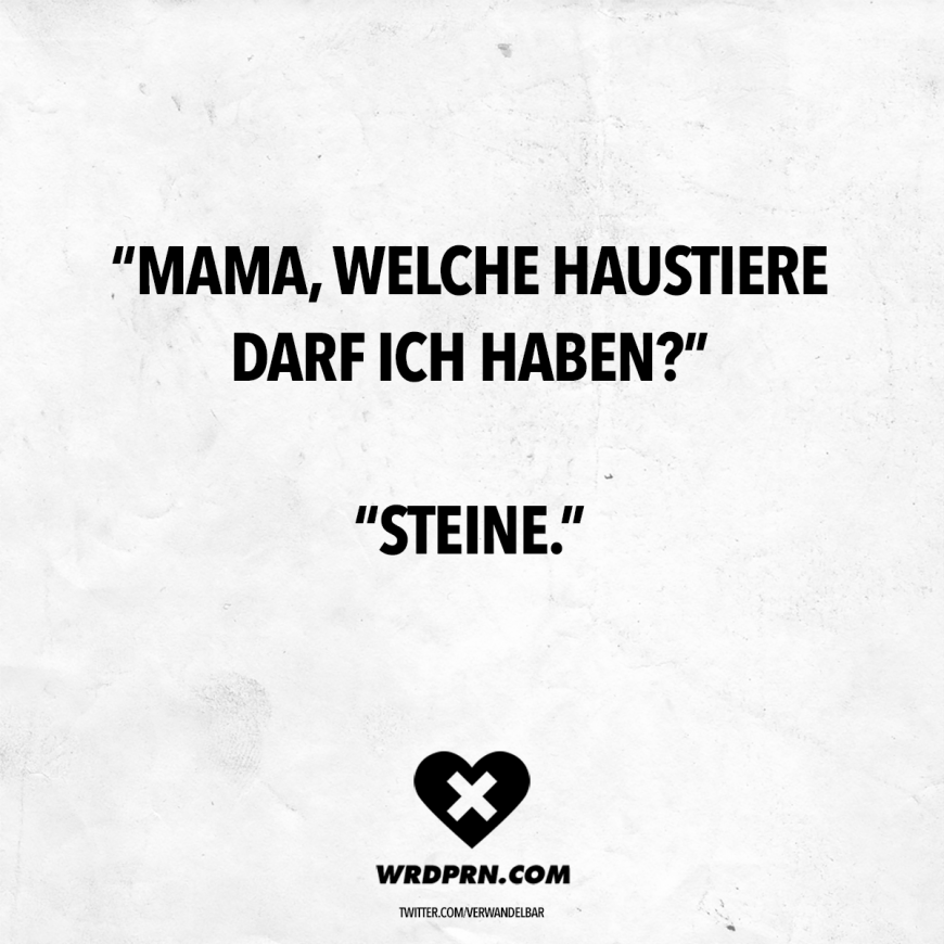 spruch-haustiere-steine-870x870